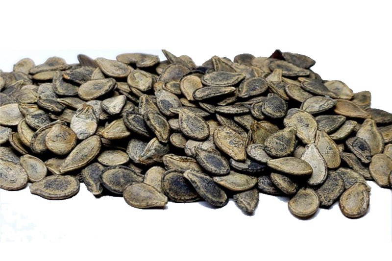 Apple Gourds Seeds