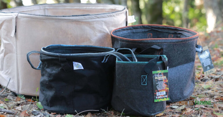 Are Fabric Pots Safe For Growing Vegetables