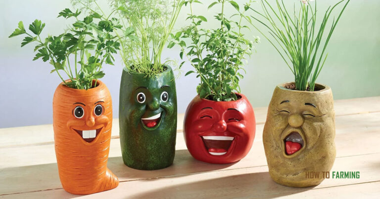 Are Resin Pots Safe for Growing Vegetables