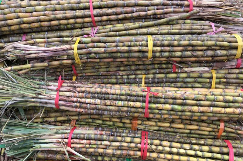 Assuring Quality Crops