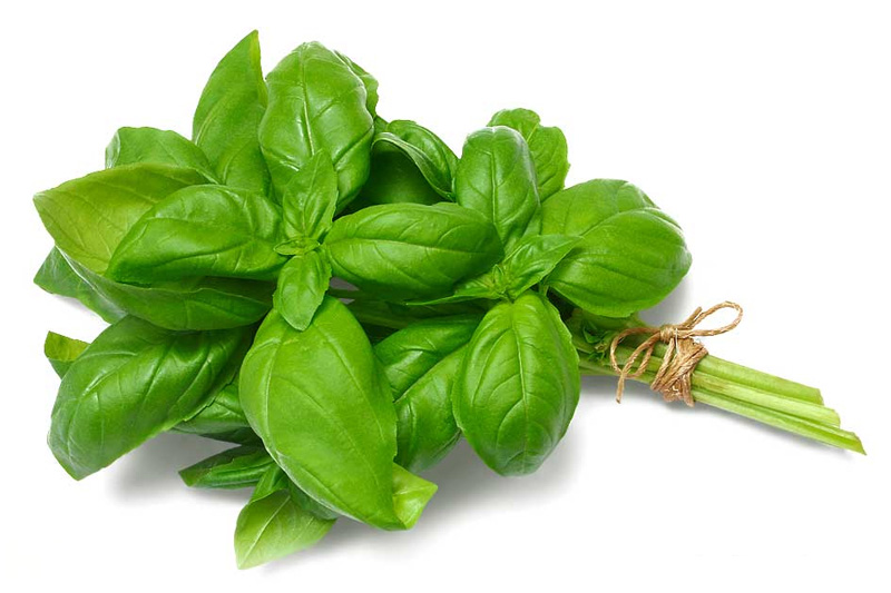 Basil - Best Vegetables to Grow in Seattle