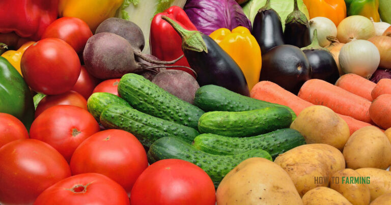 Best Fruits And Vegetables To Grow In Indiana