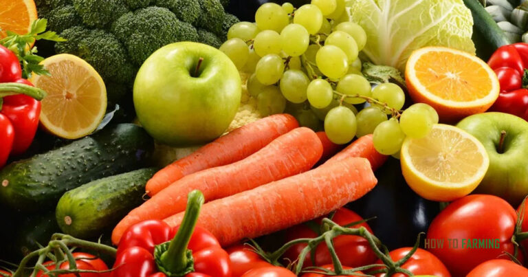 Best Fruits and Vegetables to Grow in Illinois