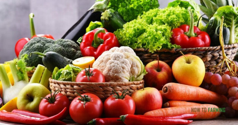 Best Fruits and Vegetables to Grow in Minnesota