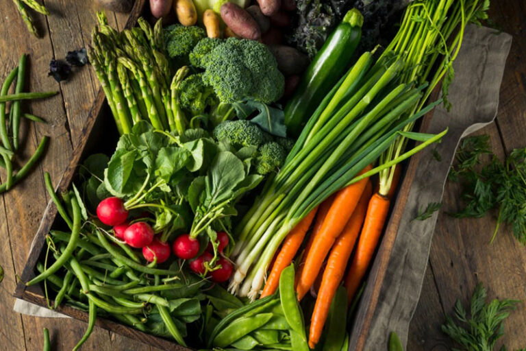 Best Vegetables to Grow in Mississippi How to Farming