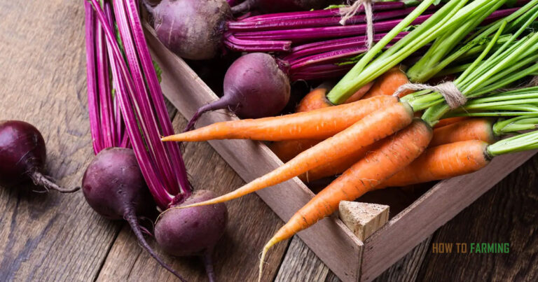 Best Vegetables To Grow In Indiana