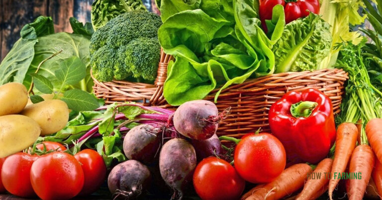 Best Vegetables To Grow On Long Island