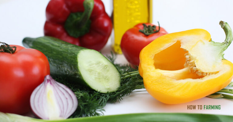 Best Vegetables To Grow in Houston