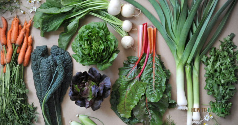 Best Vegetables to Grow in Illinois