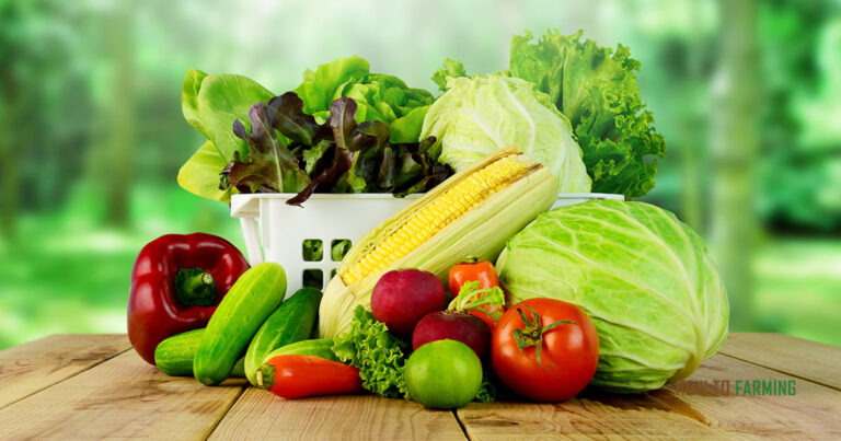 Best Vegetables to Grow in Kentucky