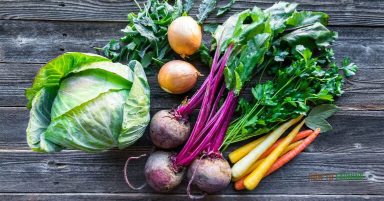 Best Vegetables to Grow in Oregon