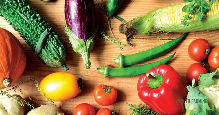 Best Vegetables to Grow in Pacific Northwest