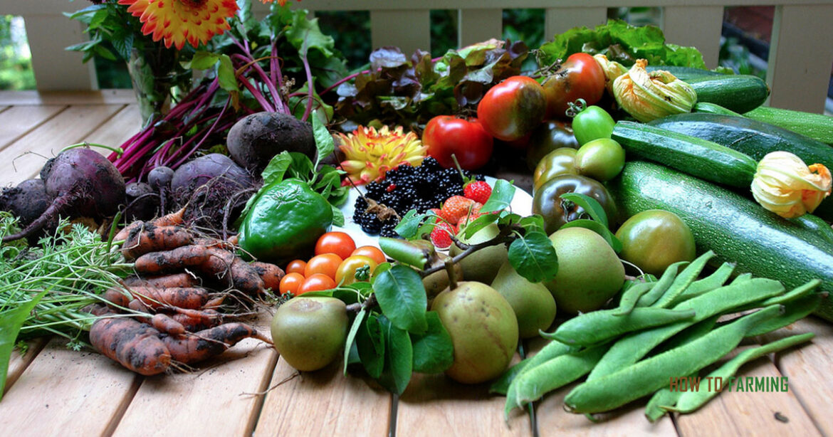 List of vegetables visual data 3