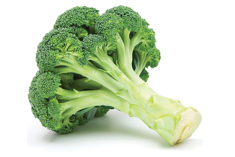 Broccoli - Easiest Vegetables to Grow in Michigan