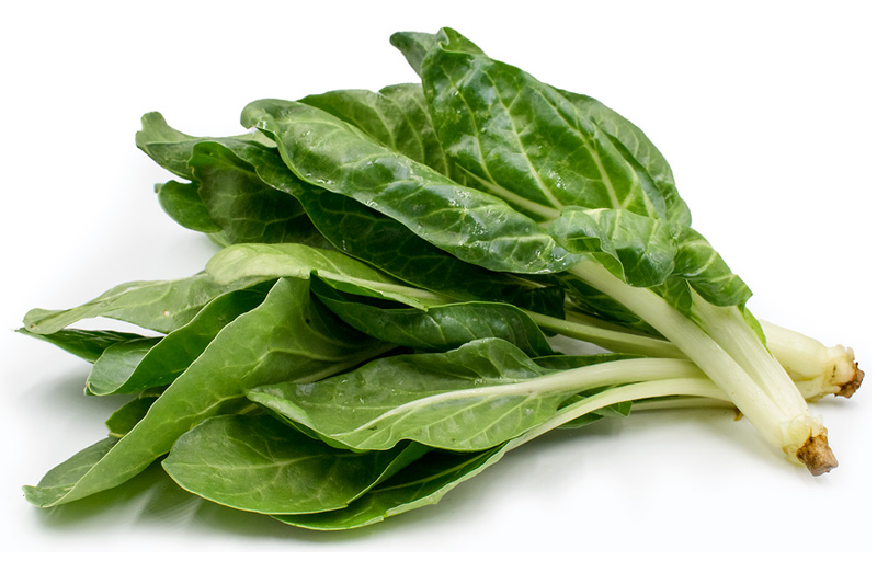 Chard - Best Vegetables to Grow in Seattle