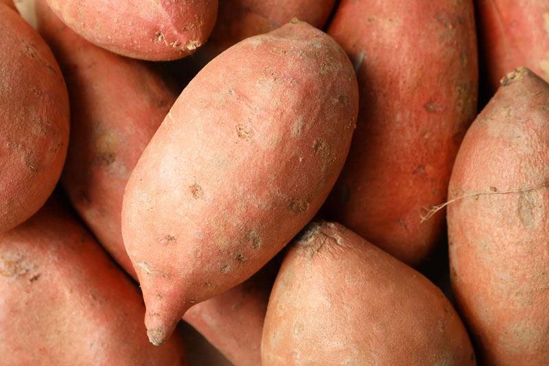 Deep Do Sweet Potatoes Grow