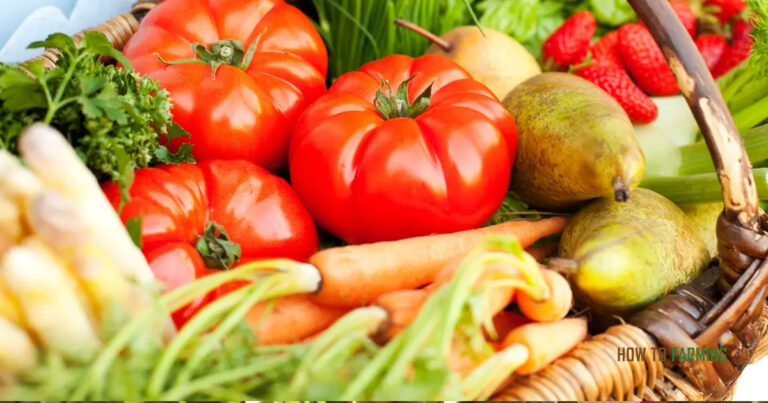 Easiest Fruits and Vegetables to Grow