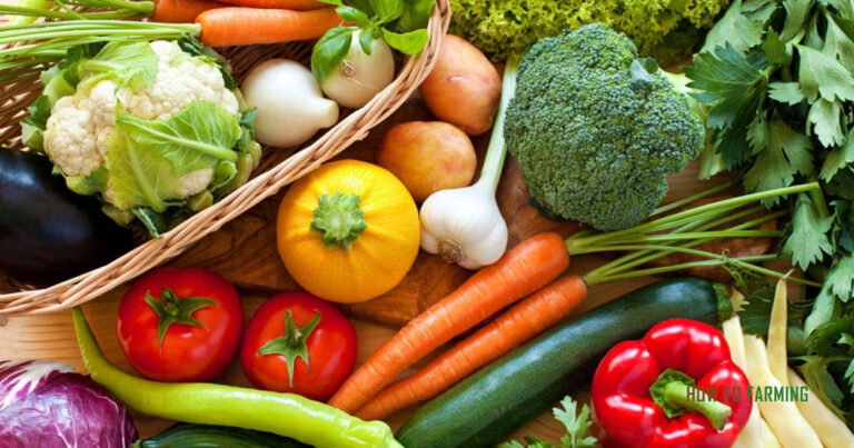 Easiest Vegetables To Grow In Minnesota