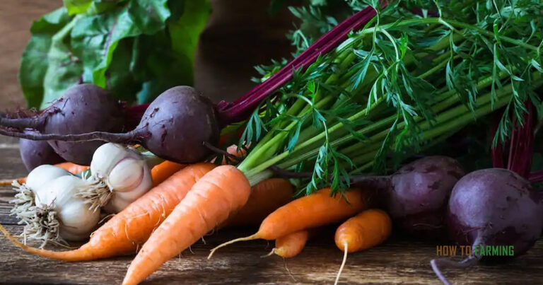 Easiest Vegetables to Grow in Lowa