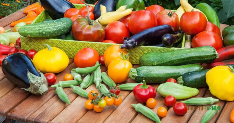 Easy Vegetables to Grow in Summer