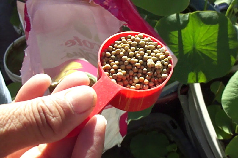 Fertilizing