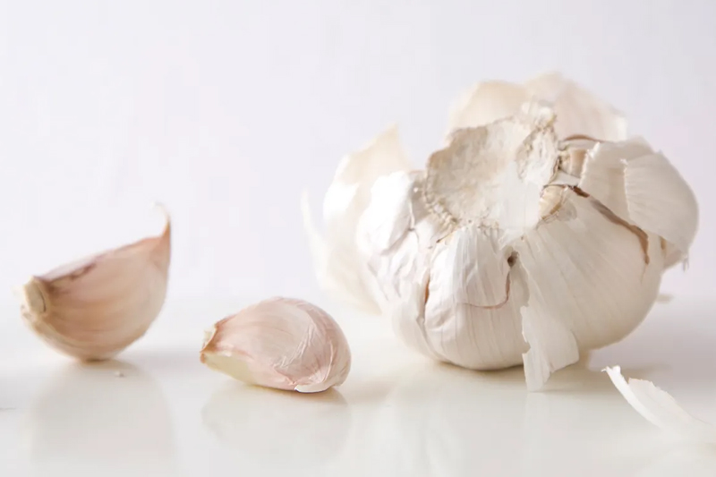 Garlic - Best Vegetables to Grow in Spring