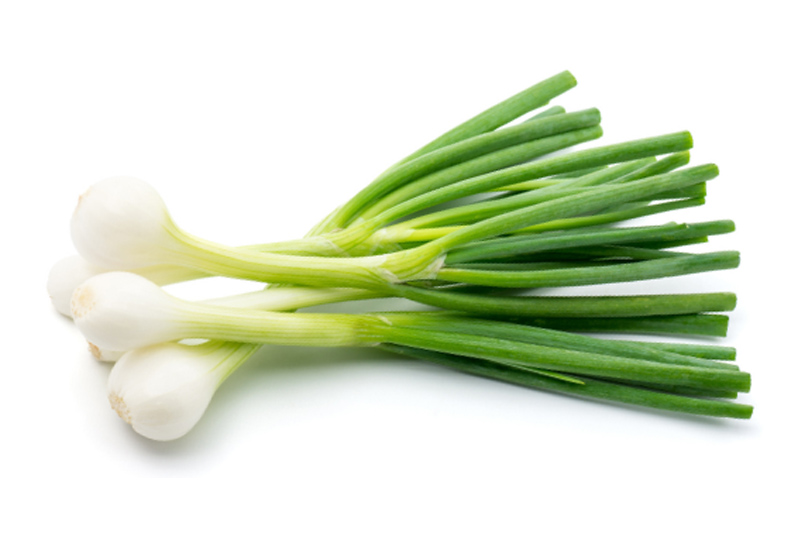 Green Onion - Best Vegetables to Grow at Home