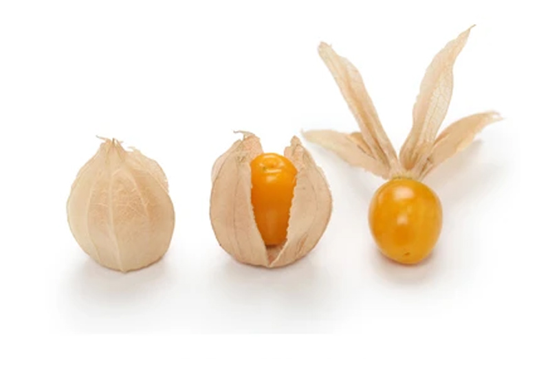 Grow Gooseberries From Seed