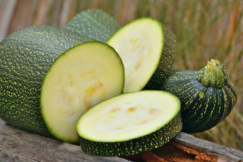 Grow Zucchini Indoors