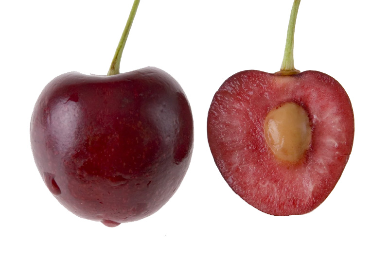Grow a Cherry Tree From a Pit