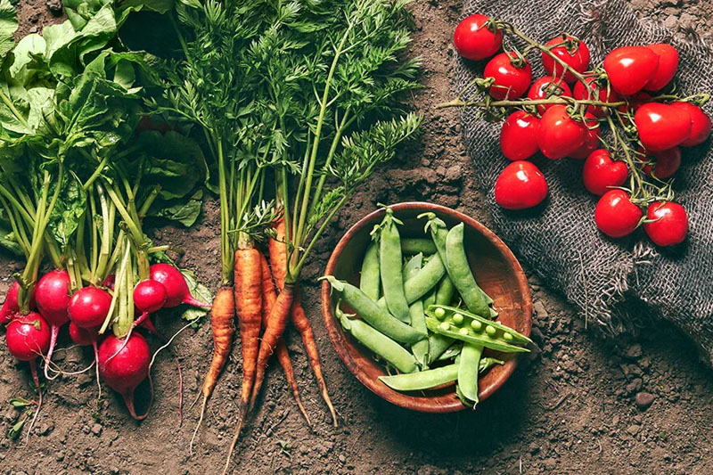 Growing Vegetable West Of The Cascades