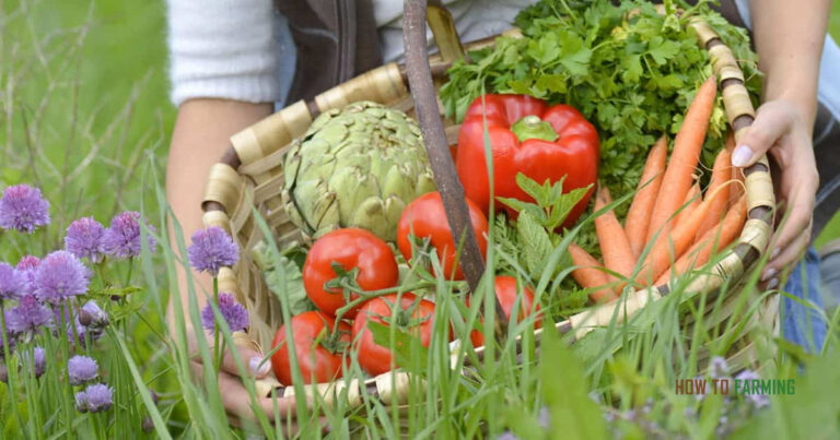 Growing Vegetables West Of The Cascades