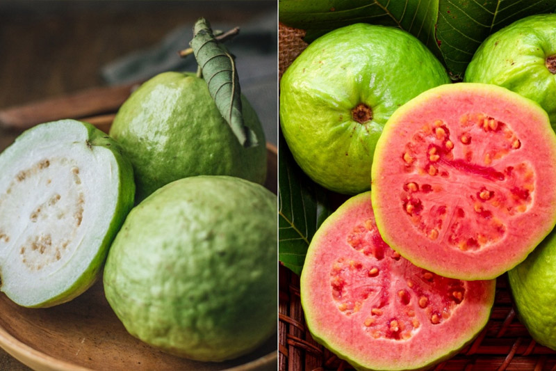 Guava Fruit Description