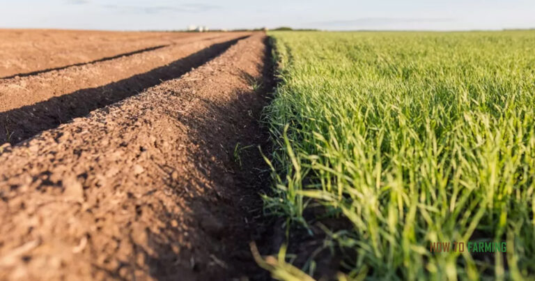 How Much Money Can You Make Farming 100 Acres