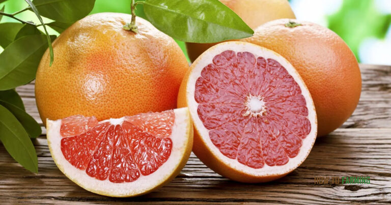 How to Grow Grapefruit