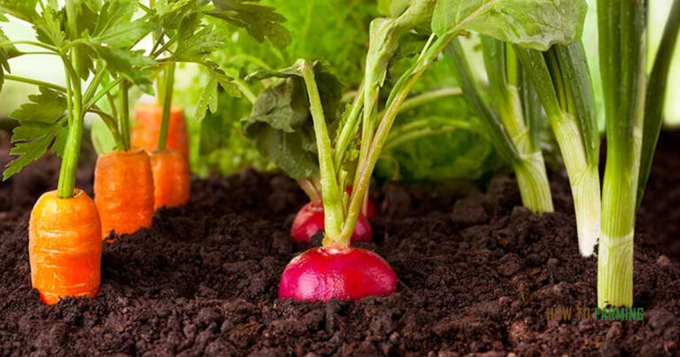 How to Make Money Farming 5 Acres