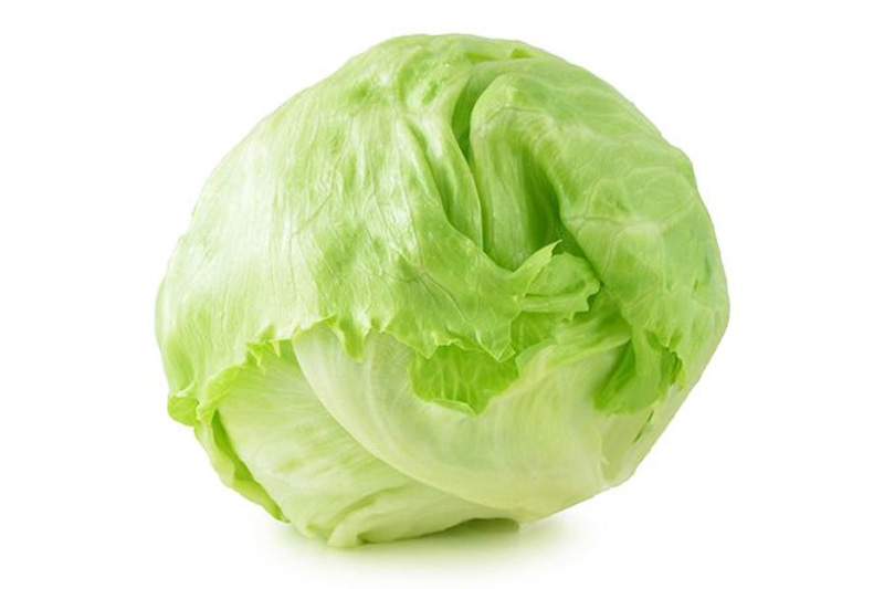 Lettuce - Vegetables to Grow in Wisconsin