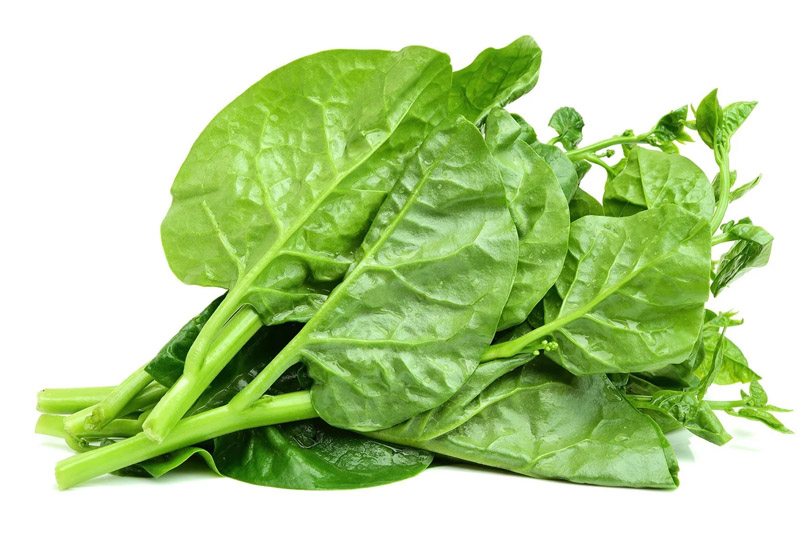 Malabar Spinach - Best Vegetables to Grow in San Antonio
