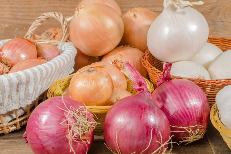 Onions - Best Vegetables to Grow in Spring