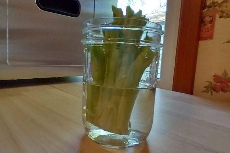 Place the broccoli stems in water