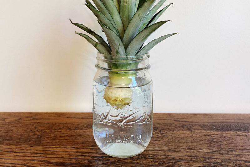Place the crown in a glass jar