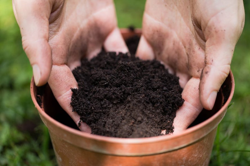 Soil in Pots