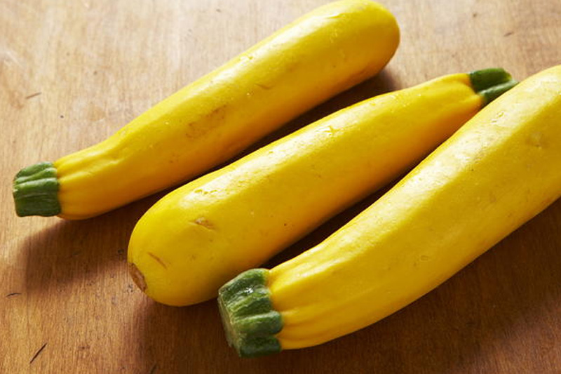 Squash - Best Vegetables To Grow On Long Island