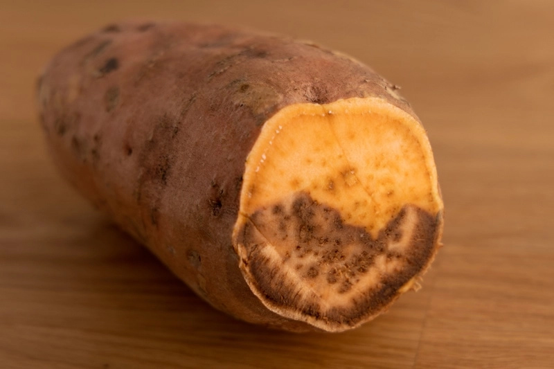 Tell if a Sweet Potato is Bad