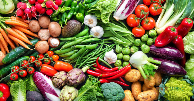 The Davis Family Grows Organic Vegetables