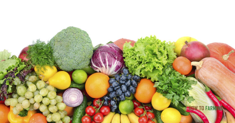 US Farmer Fined For Growing Too Many Vegetables