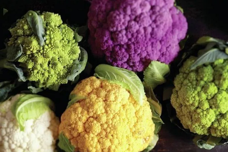 Varieties - to Grow Broccoli