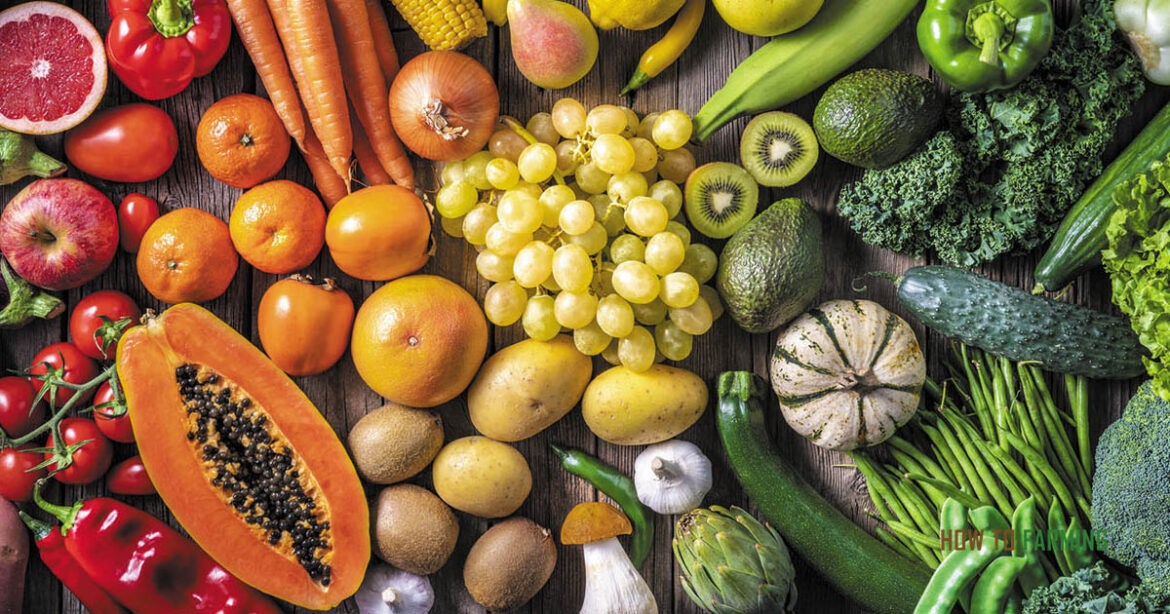 Vegetables That Grow Well in Arizona Full Sun How to Farming