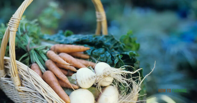 Vegetables to Grow in Georgia
