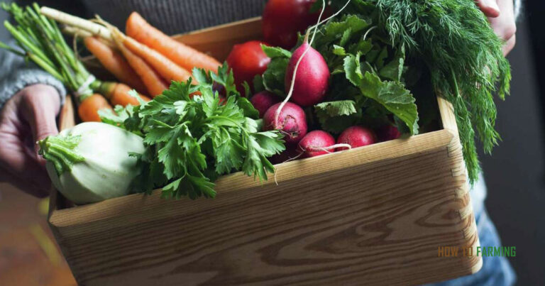 Vegetables to Grow in Houston